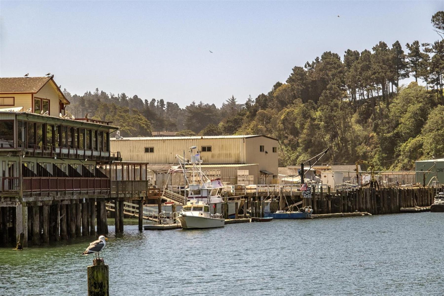 Villa Driftwood Fort Bragg Esterno foto